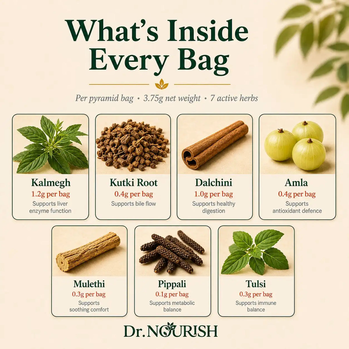 Dr. Nourish Kutki-Kalmegh Liver Care Tea FP